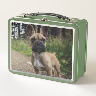 Lunch Box Oreiller à lancer de chien de taureau français