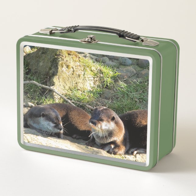 LUNCH BOX OTTERS (Devant)