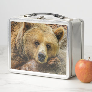 Lunch Box Ours