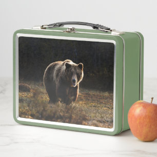 Lunch Box Ours