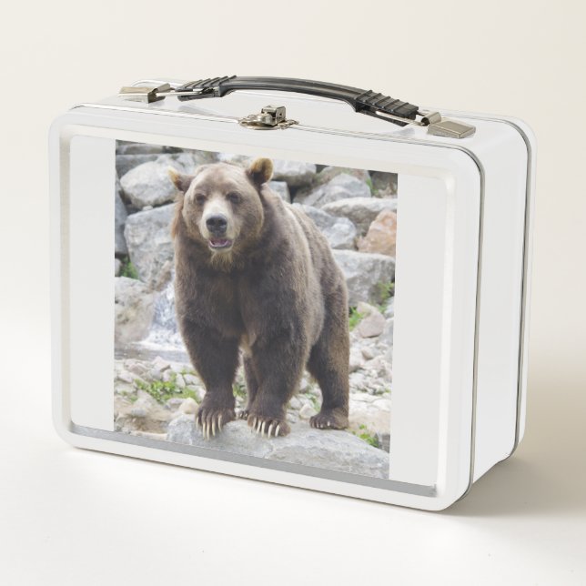 Lunch Box Ours kodiak (Devant)