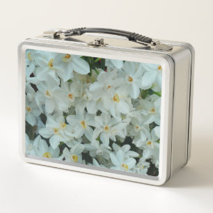 Lunch Box Paperwhite Narcissus Fleurs blanches délicates