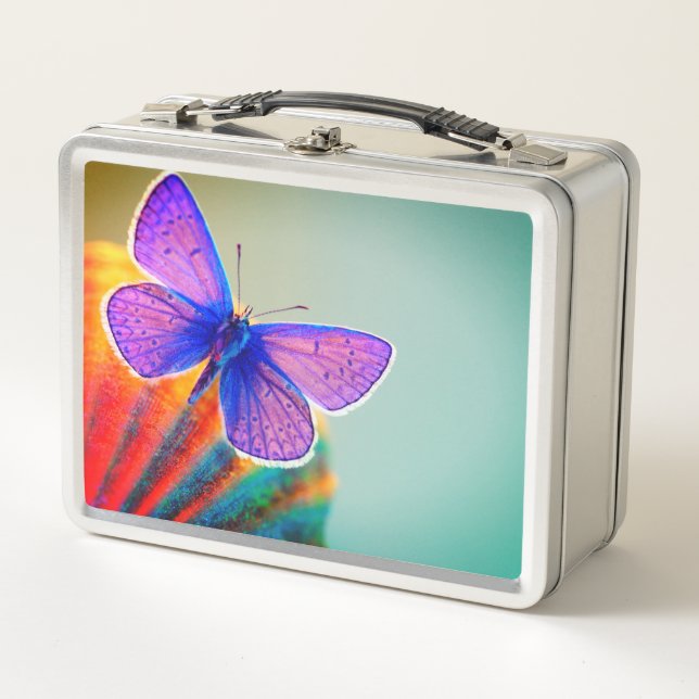 Lunch Box Papillon (Devant)
