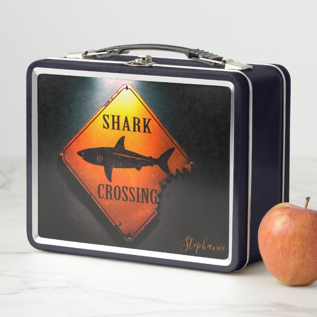 Lunch Box Passage de requins Animaux marins (En situation)