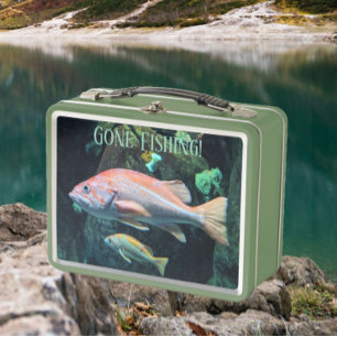 Lunch Box Pêche Colorée Poisson-Roche Photo