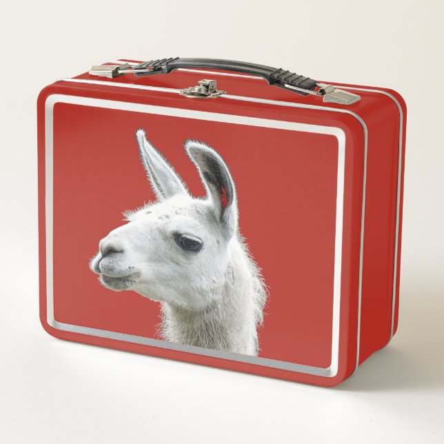 Lunch Box Peeking Llama Portrait sur un Arrière - plan rouge (Devant)