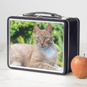Lunch Box Petit chou doux
