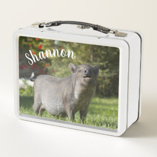 Lunch Box Petit Pot Pot Pot Personnalisé Happy Pet Bely Pig