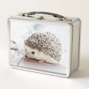 Lunch Box Photo de bébé hérisson mignon