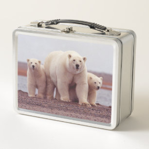 Lunch Box Photo de famille mignonne d'ours polaire mère et o
