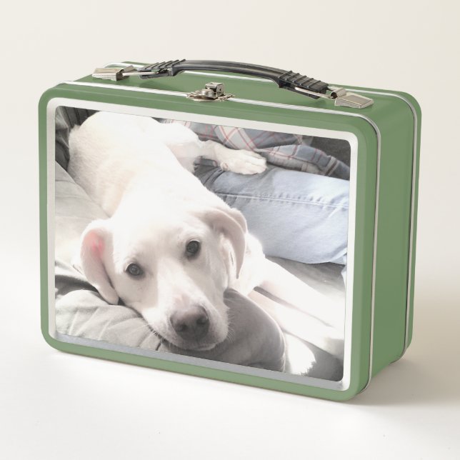 Lunch Box Photo de mignon chien avec Best Friend Green (Devant)