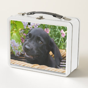 Lunch Box Photo noire mignonne d'animal familier de chiot de