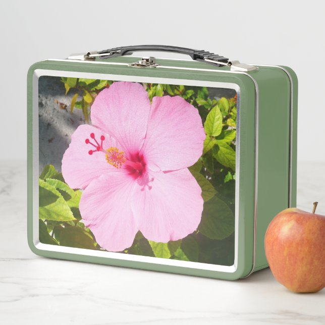 Lunch Box Pink Hibiscus Tropical Flower (En situation)