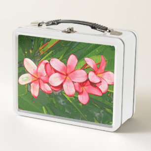 Lunch Box Plumerias