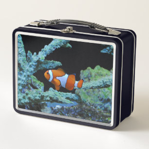 Lunch Box Poisson clown mou en corail