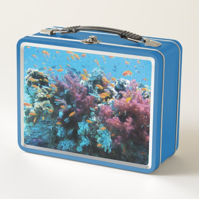 Lunch Box Poisson orange tropical et corail rose (Devant)