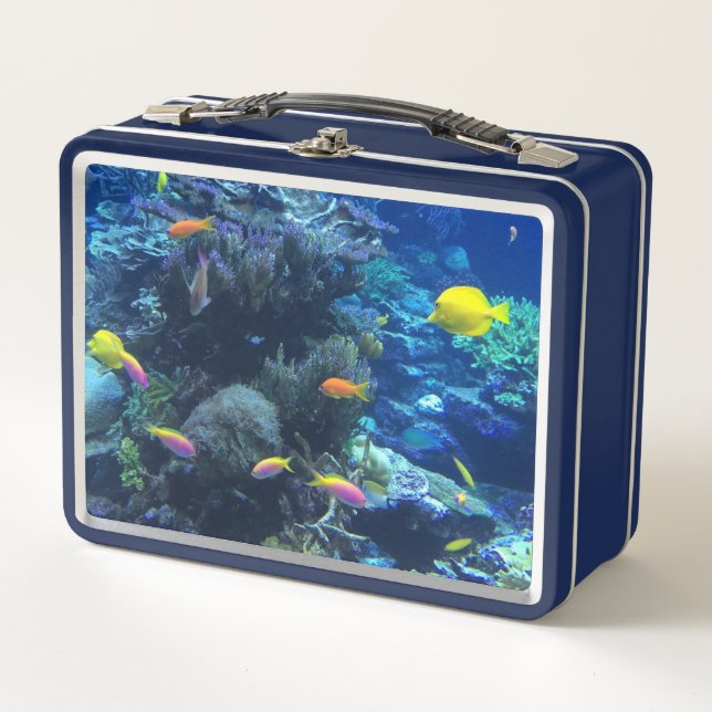Lunch Box Poisson Tropical Jaune Photo Sous L'Eau (Devant)