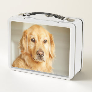 Lunch Box Portrait de Golden Retriever