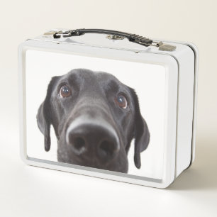 Lunch Box Portrait de la collection Black Labrador