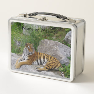 Lunch Box Portrait photo d'un tigre de Sibérie