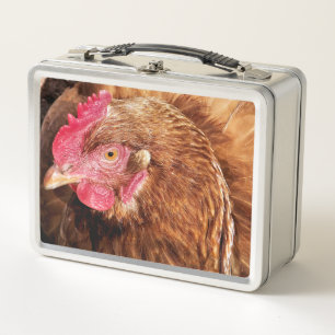 LUNCH BOX POULET CUIT