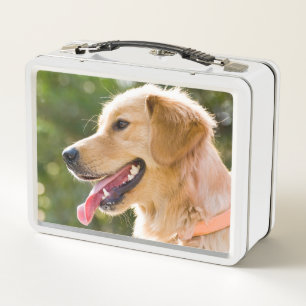 Lunch Box Profil d'extraction d'or avec une langue sortie
