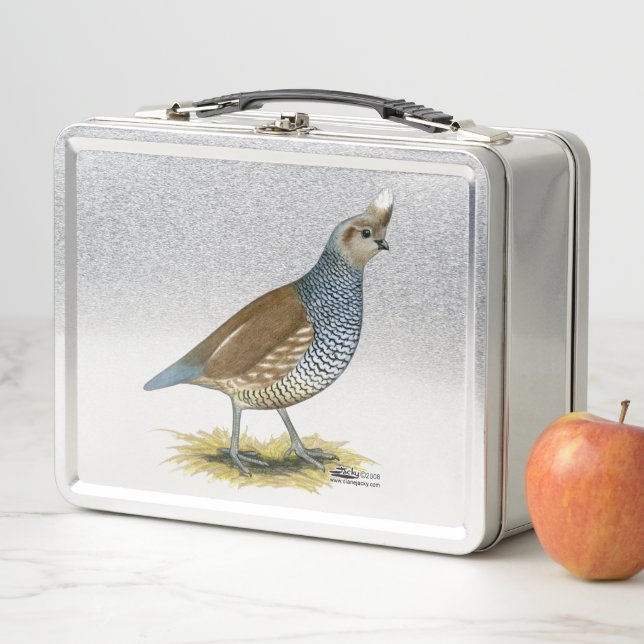 Lunch Box Quail à échelle (En situation)