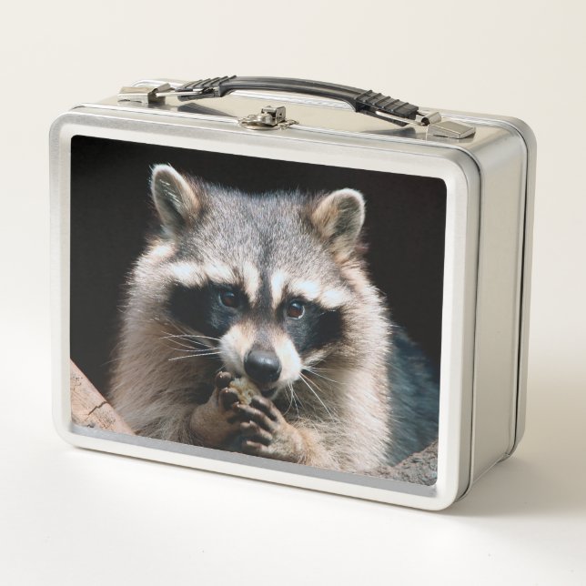 Lunch Box Raccoon 004 (Devant)