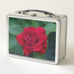 Lunch Box Rose rouge de près