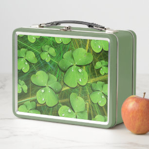 Lunch Box Shamrock vert St Patrick iPhone 5 Coque-Mate