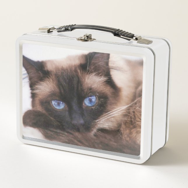 Lunch Box Siamese Kitten Sweetie Face (Devant)