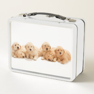 Lunch Box Six Marionnettes Golden Retriever