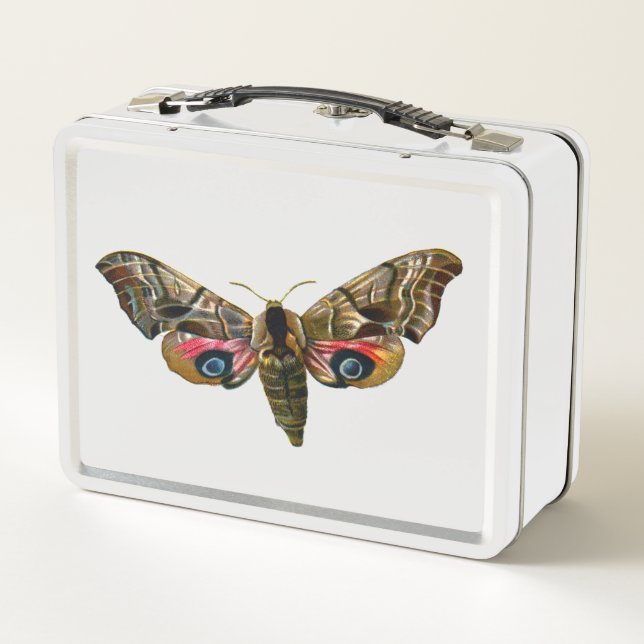 Lunch Box Smerinthus ocellata - Eyed Hawk-Moth - Color Image (Dos)