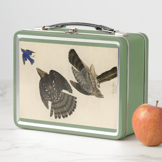 Lunch Box Stanley (Cooper's) Hawk Audubon's Birds of America (En situation)