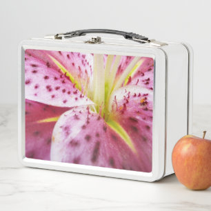 Lunch Box Stargazer Lily brillant Magenta Floral