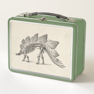 Lunch Box Stegosaurus Dinosaure Squelette Fossile