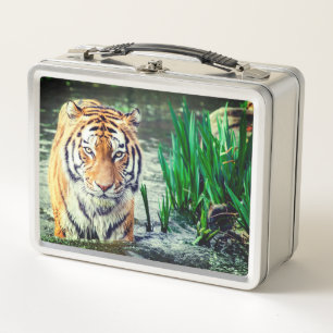 Lunch Box Tigre