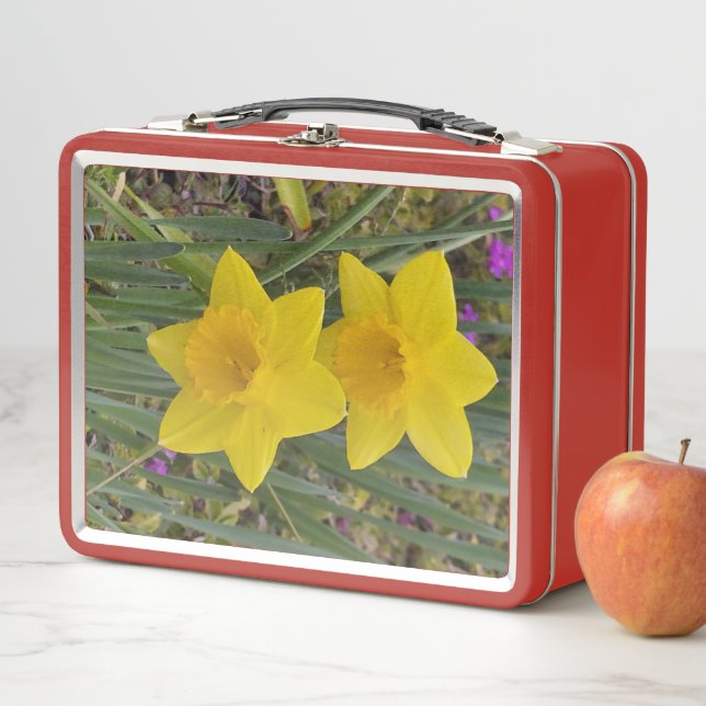 Lunch Box to brighten your day (In Situ)