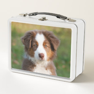Lunch Box Tri photo australienne rouge mignonne de chiot de
