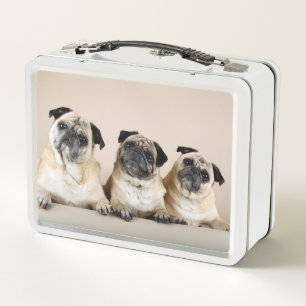 Lunch Box Trois Carlins De Ligne