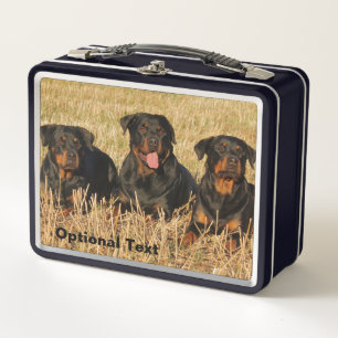 Lunch Box Trois chiens Rottweiler - Pack de Rotties