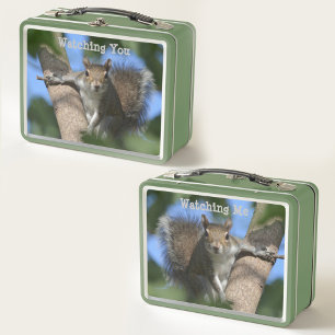 Lunch Box Un écureuil vous regarde photographié
