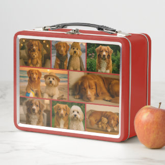 Lunch Box Unique personalized custom collage photo template