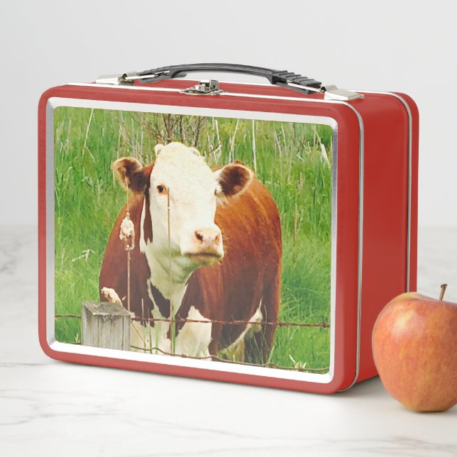 Lunch Box Vache mignonne 4Caley (En situation)