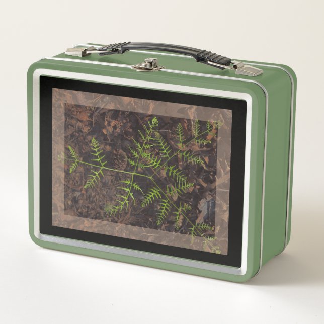 Lunch Box vert printemps (Devant)