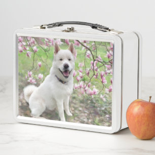Lunch Box - White Akita