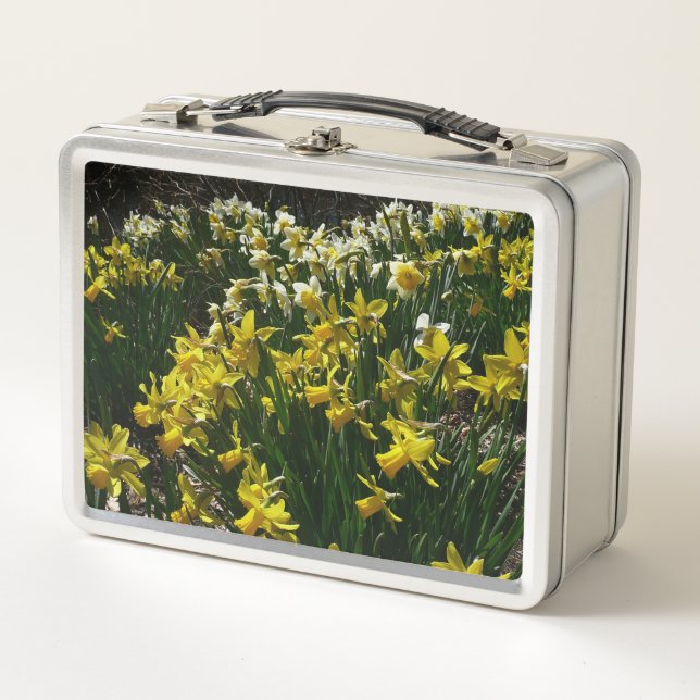 Lunch Box Yellow and White Daffodils Spring Flowers (Devant)