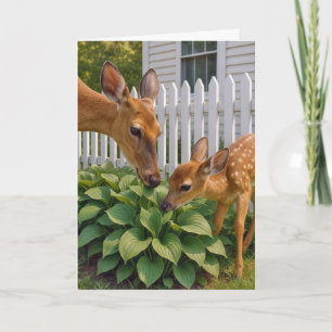 Lunch Doe and Fawn Eating Hosta Card