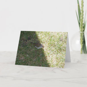 "Lunch Time" Easter Card