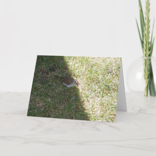 "Lunch Time" Easter Card (Front)